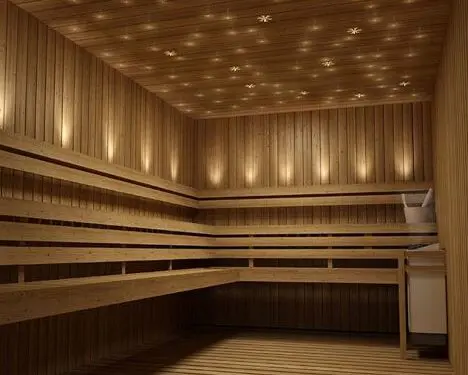 Fibre Optic Sauna Star Lighting Kit