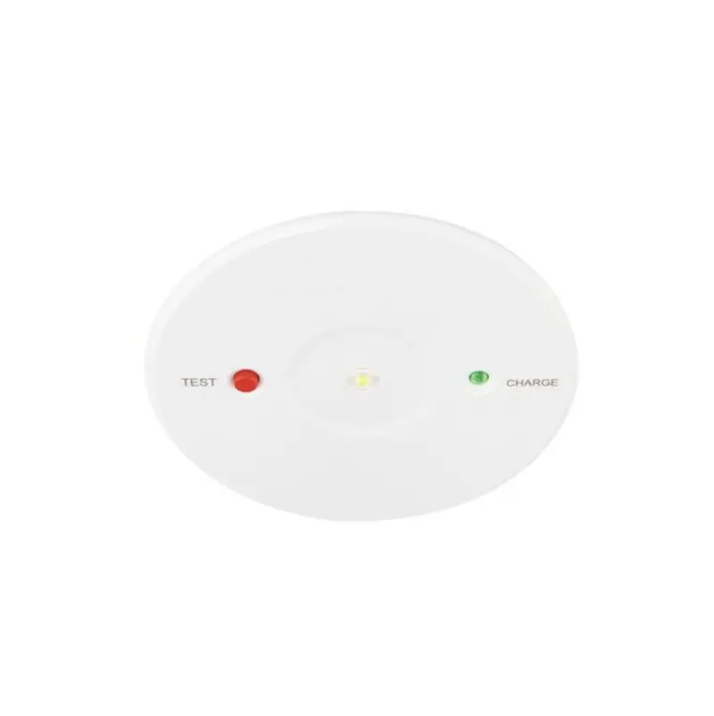 Cyclo 2 ENM 1.9W daylight white Emergency Downlight 76383 - Image 3