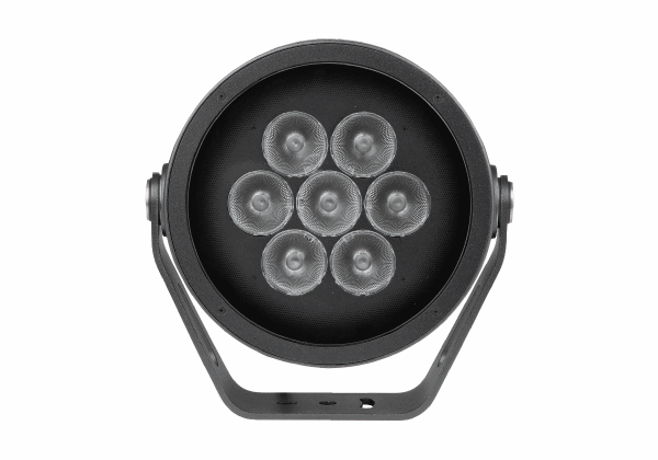 ANOLIS Calumma™ M MC