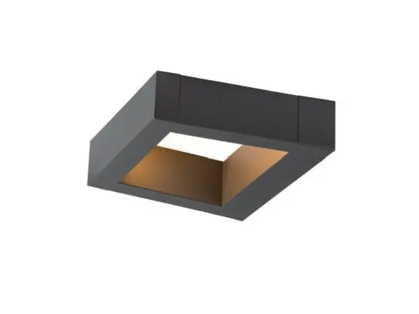 BOOKAT Anthracite Wall Mounted Light