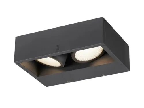 ESKINA FRAME WL Double Wall-Mounted Light Anthracite 27W 3000/4000K