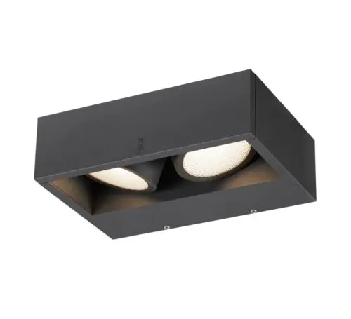 ESKINA FRAME WL Double Wall-Mounted Light Anthracite 27W 3000/4000K