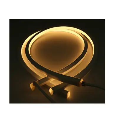 Encapsulated FlexiNeon LED