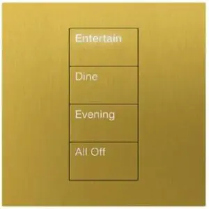 Lutron HomeWorks QS Palladiom International Keypad - Image 5