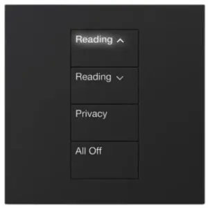 Lutron HomeWorks QS Palladiom International Keypad - Image 2