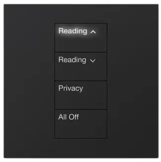 Lutron HomeWorks QS Palladiom International Keypad